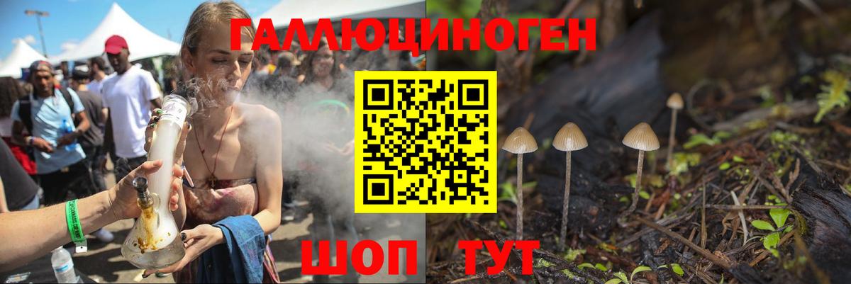 Шахты  Галлюциногенные грибы Cubensis  Вход с VPN 